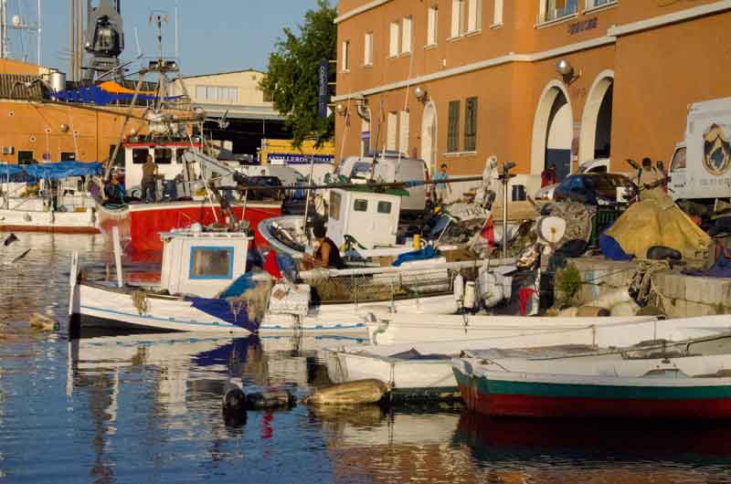 Mallorca - Palma 127 - puerto pescadores.jpg
